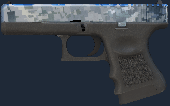 Restricted Pistol 5528616362