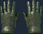 Extraordinary Gloves 1881746619